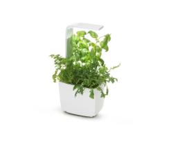 TREGREN T3 Kitchen Garden biely T3WEU
