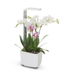 TREGREN T3 Kitchen Garden biely T3WEU (1)
