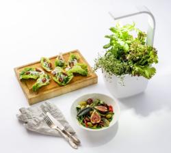 TREGREN T3 Kitchen Garden biely T3WEU (2)