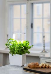 TREGREN T3 Kitchen Garden biely T3WEU (3)