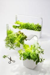 TREGREN T3 Kitchen Garden biely T3WEU (5)