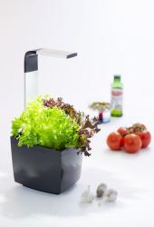 TREGREN T3 Kitchen Garden ierny T3BEU (2)