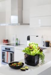 TREGREN T3 Kitchen Garden ierny T3BEU(4)