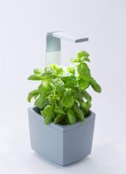 TREGREN T3 Kitchen Garden siv T3GEU