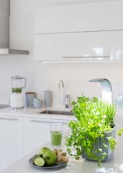 TREGREN T3 Kitchen Garden ed T3GEU(2)