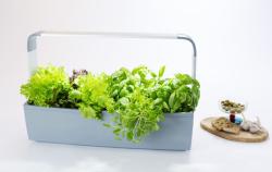 TREGREN T12 Kitchen Garden siv T12GEU