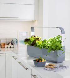 TREGREN T12 Kitchen Garden ed T12GEU(1)